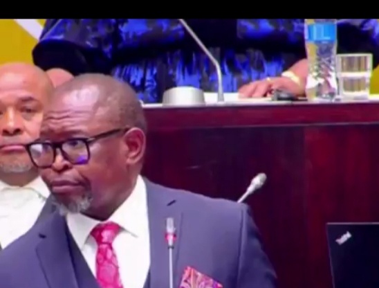 Huge relief for South African drivers as Enoch Godongwana cuts fuel prices by up to R3 per litre