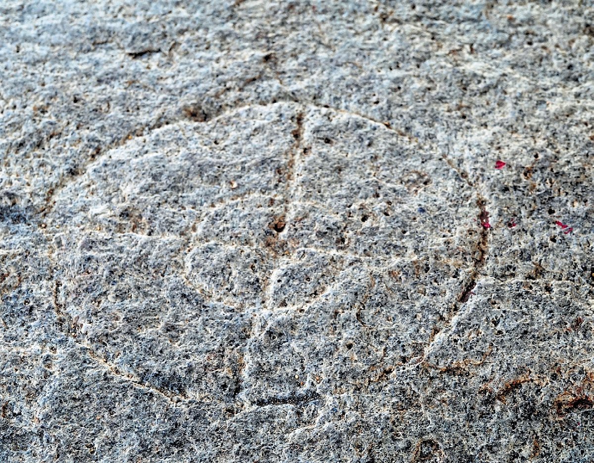 The antiquity of play