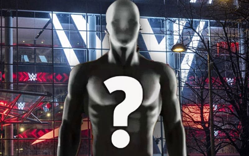 Former WWE Star Addresses Potential Return After Five Years Away