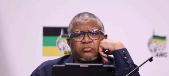 Mbalula’s ANC Report Blames Eastern Cape Internal Chaos on Secretary Lulama Ngcukaitobi