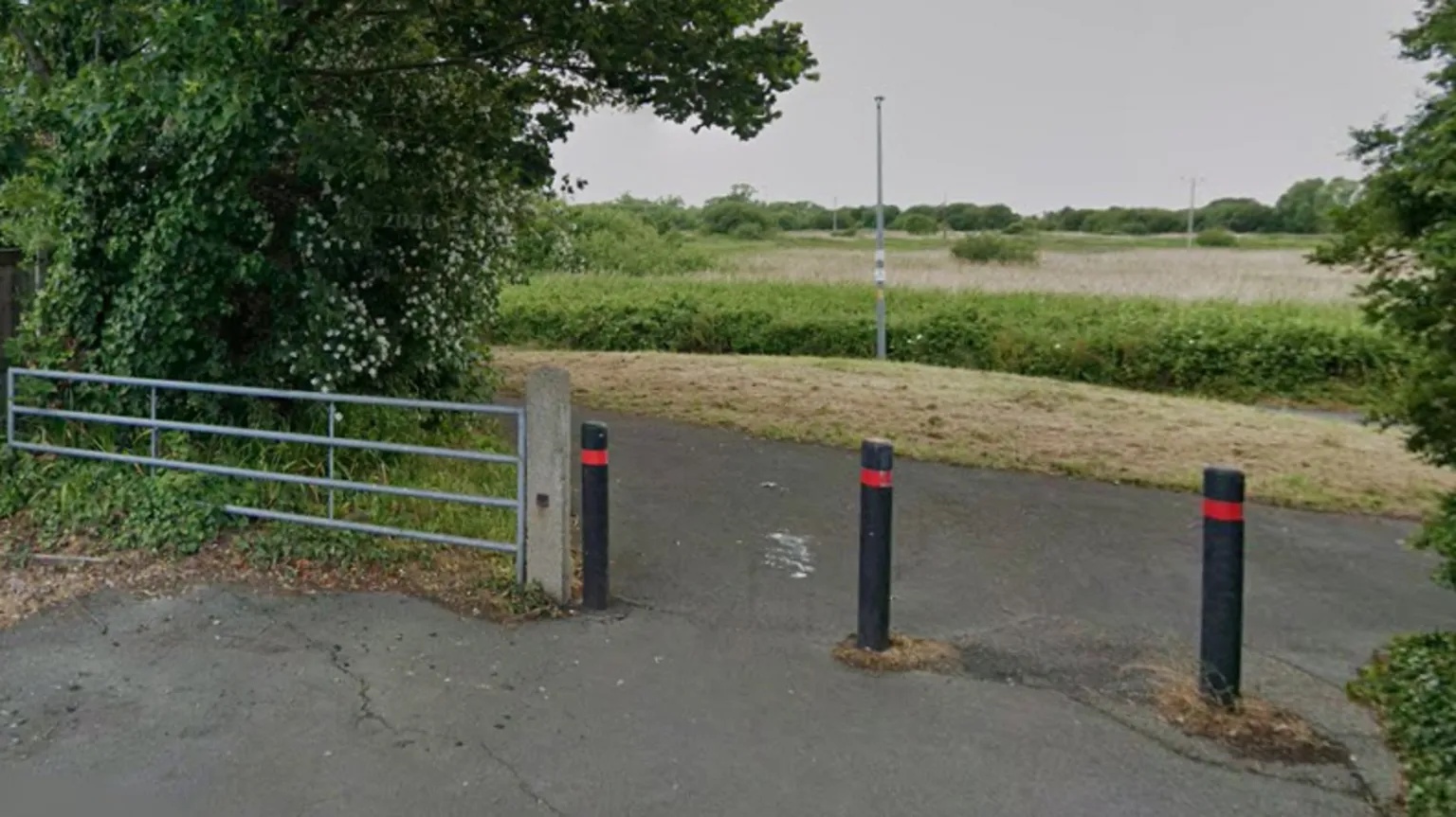 Murder investigation after body found in van on fire