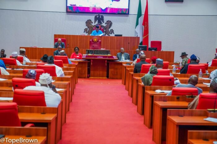 Why Senate Presidency power play could cost APC South-east, group warns