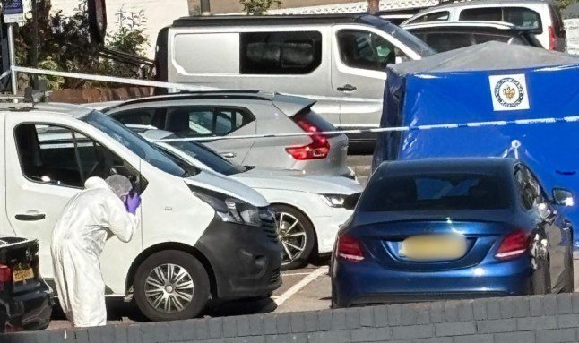 Man stabbed to death in front of packed birthday party at pub