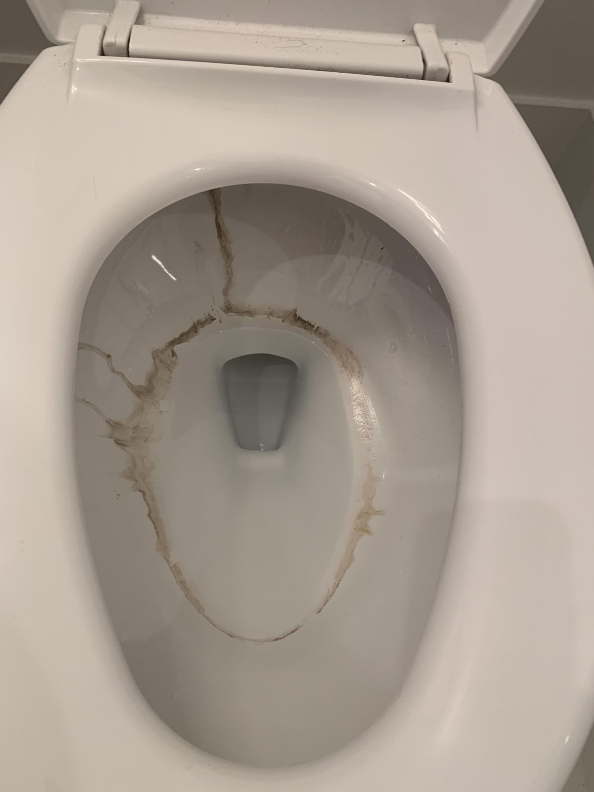 Not Vinegar, Not Baking Soda: People Are Sprinkling This in Their Toilet Before Bed