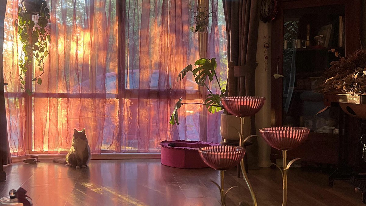 94 Times People Decided To Redecorate Their Home And The Results Were Absolutely Stunning