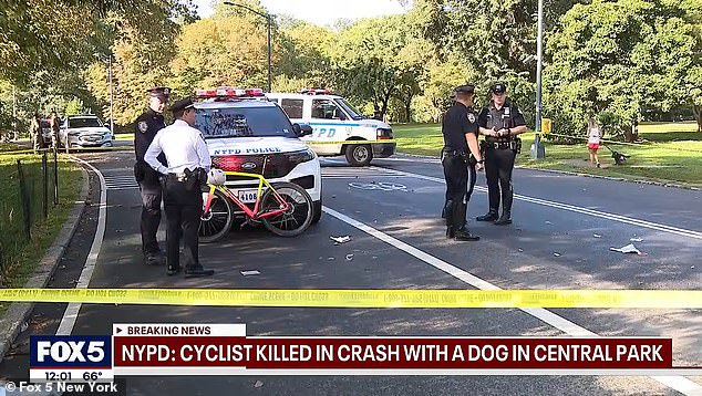 New York City cyclist is killed after colliding with a dog in Central Park