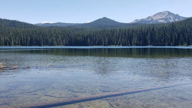 Goodbye Crater Lake, So Long Trillium Lake: Between Eugene And Klamath Falls Is An Alpine Lake To Camp And Fish
