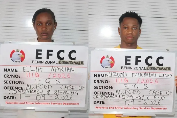 19-year-old girl steals ₦35.92 million from the woman who raised her, transfers it to her boyfriend before being caught
