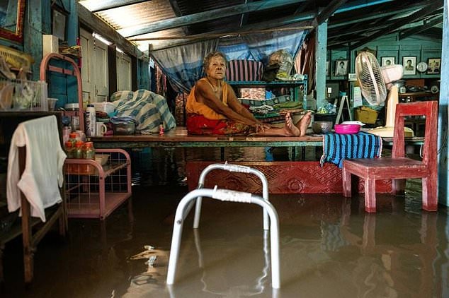 Deluge by design: Thai villages flooded to protect capital