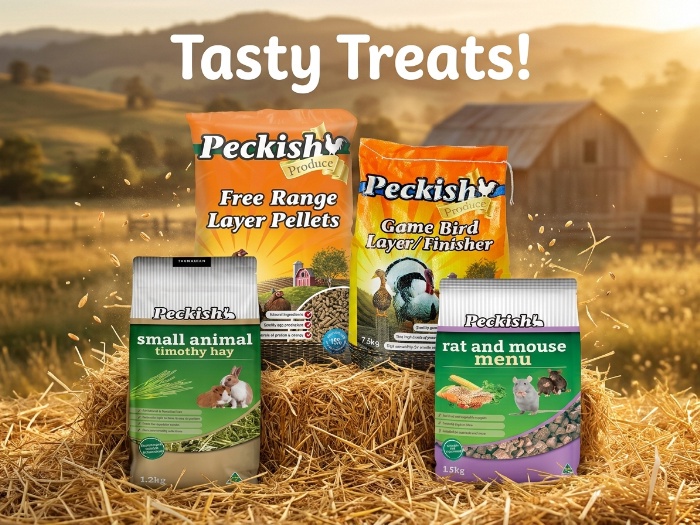Nutritious Choices for Feathered and Furry Friends