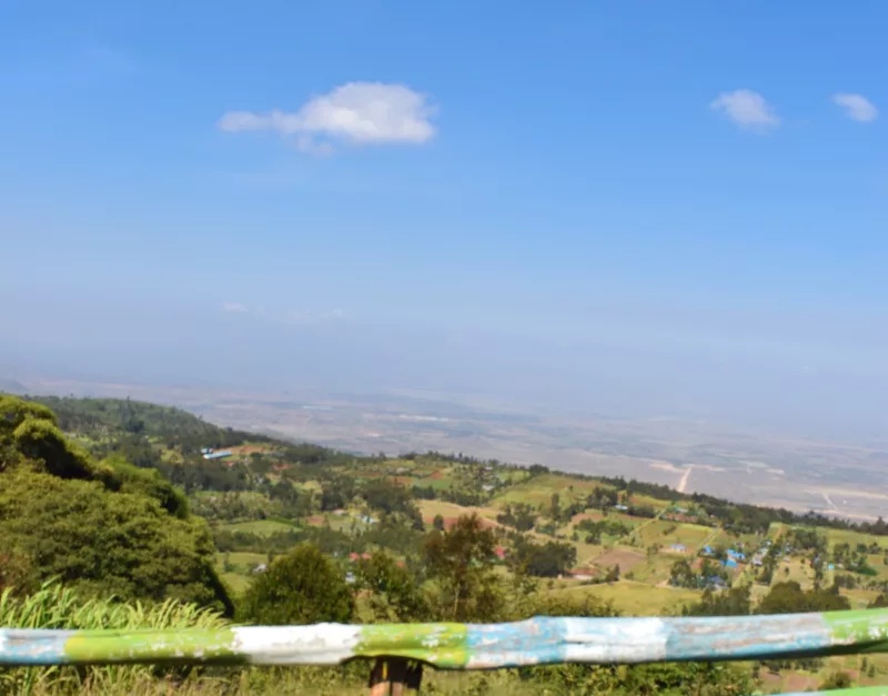 OUT AND ABOUT: Why Naivasha never goes out of style
