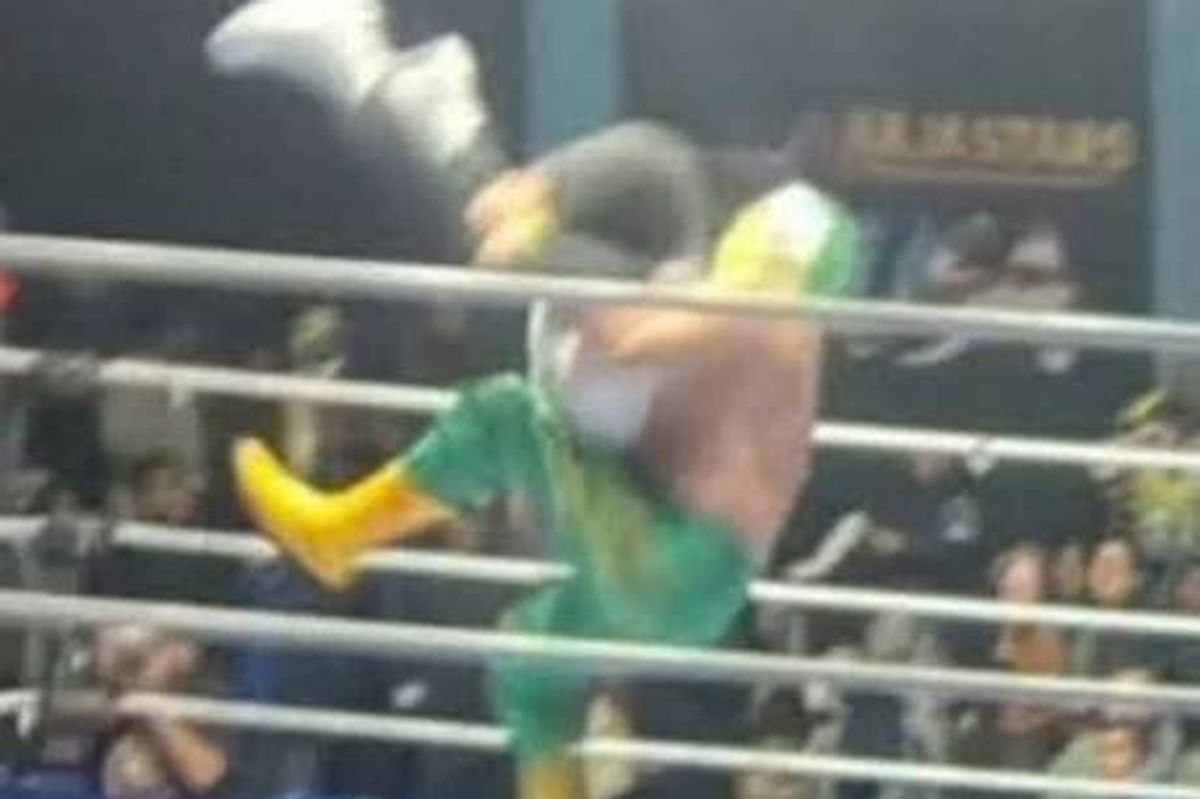 Wrestler arrested after referee dies in ring after being hit with ‘banned’ move