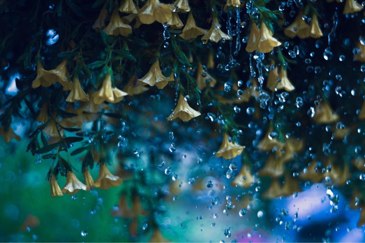 WEATHER: Rain expected to hit FIVE provinces this weekend