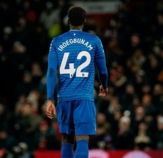 Former England player, Tim commits future to Nigeria