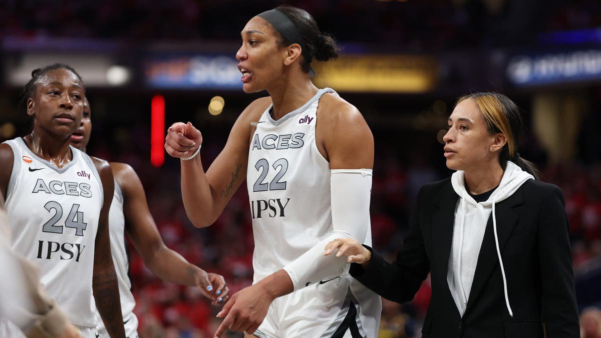 Dan Dakich blasts A’ja Wilson over fan incident in playoff loss to the Fever