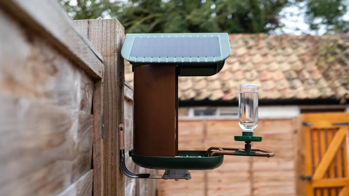Camouflage EZ BirdFeed review: a superb value, smart bird feeder camera that identifies your feathered friends