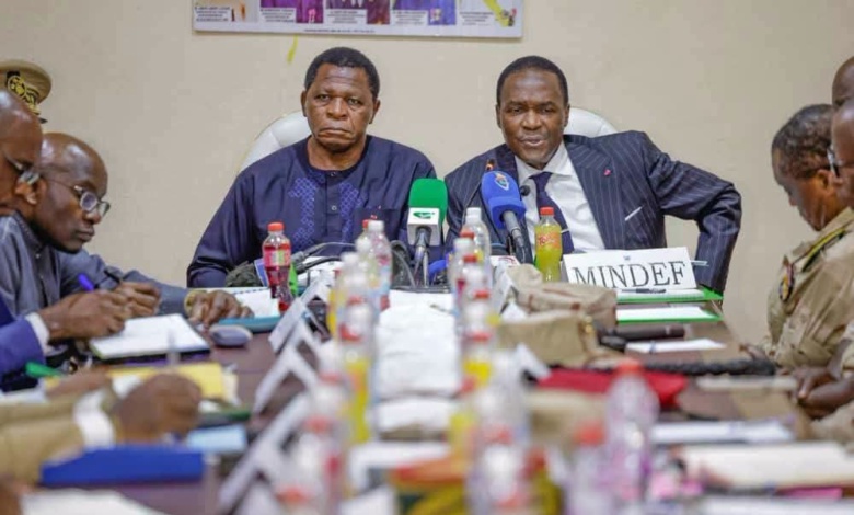 Cameroon Revives Vigilante Committees to Bolster Fight Against Boko Haram