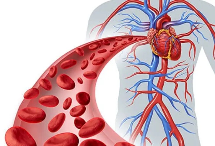 7 Signs Your Blood Flow Isn’t as Healthy as It Should Be
