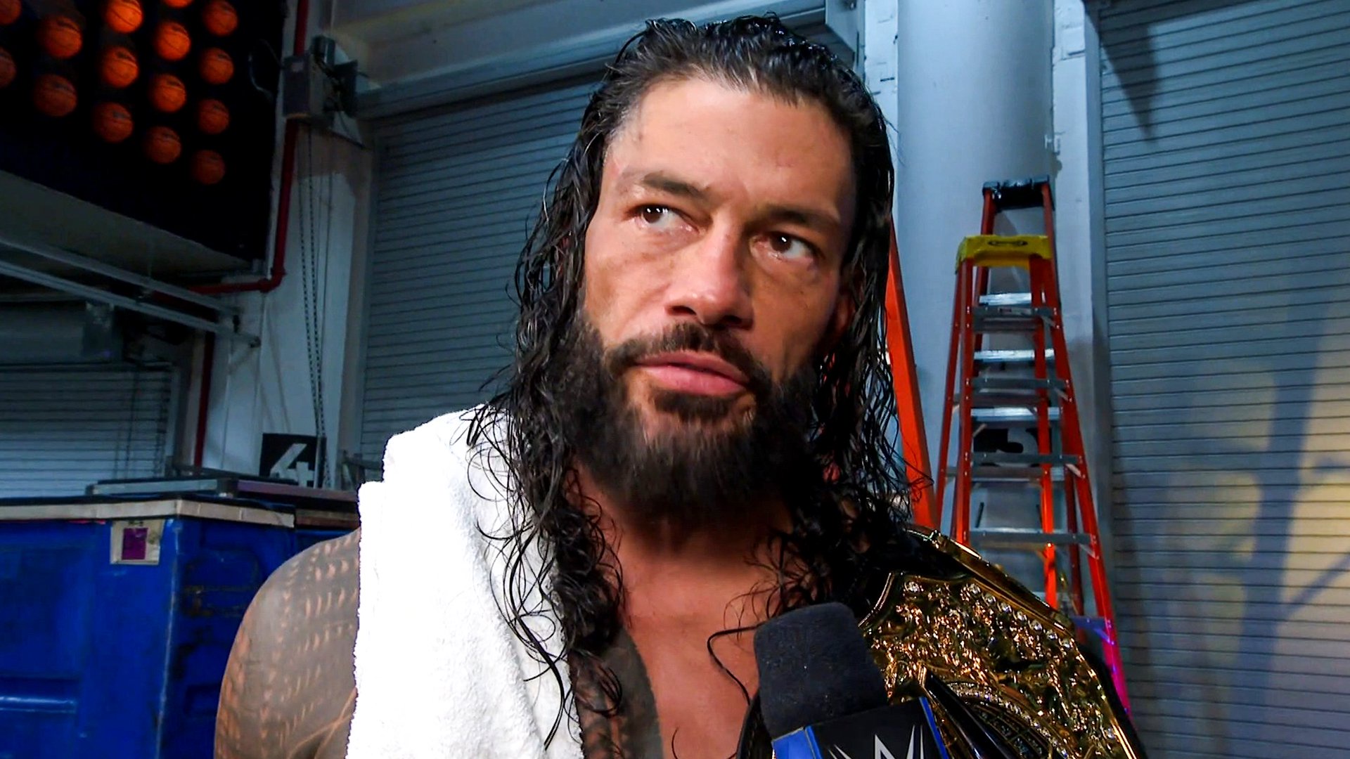 Roman Reigns Explains Why He No Longer Works WWE Live Events