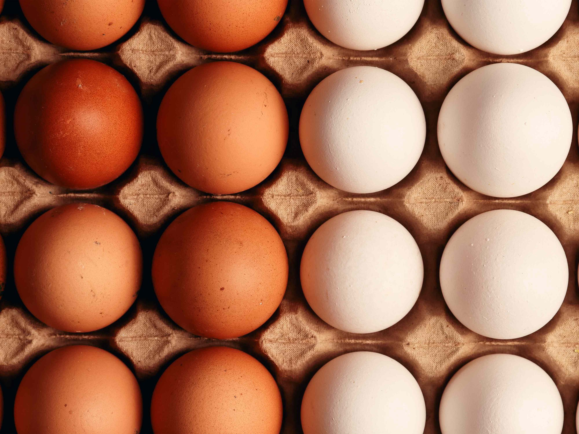 The Real Difference Between White and Brown Eggs, According to an Egg Farmer