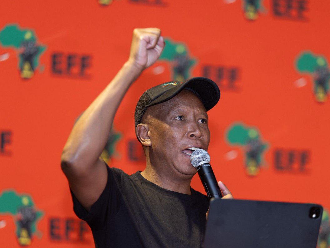Malema says EFF could join GNU if DA and FF Plus withdraw