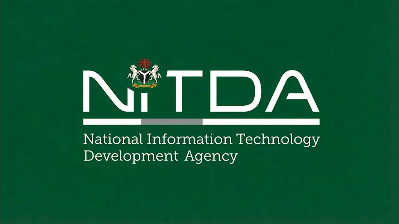 Why organizations must expand their cyber strategies — NITDA DG