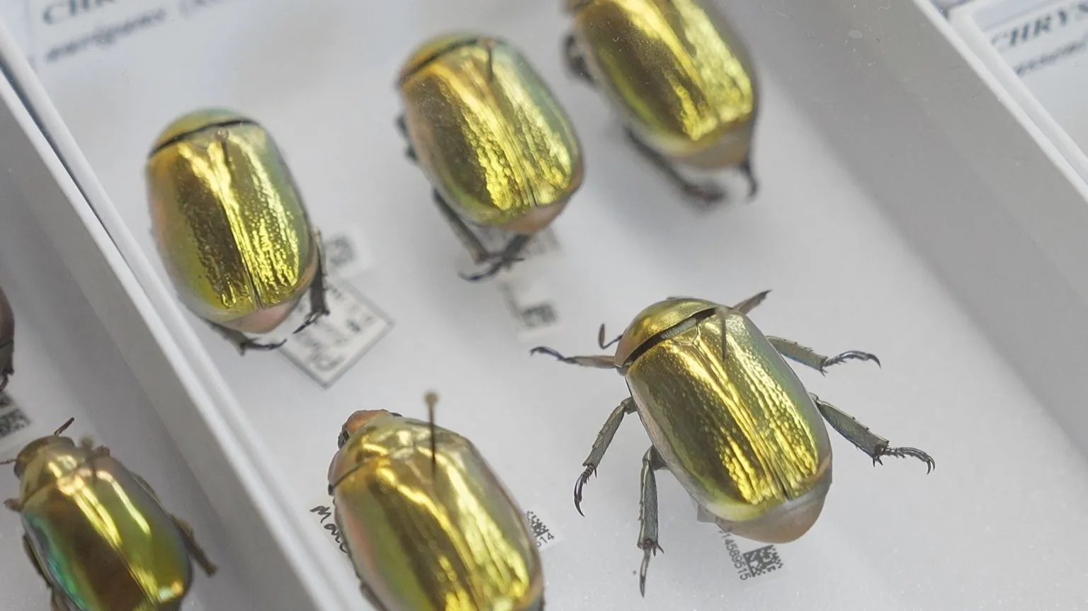 How AI is creating a UK super-museum and revealing our planet’s history