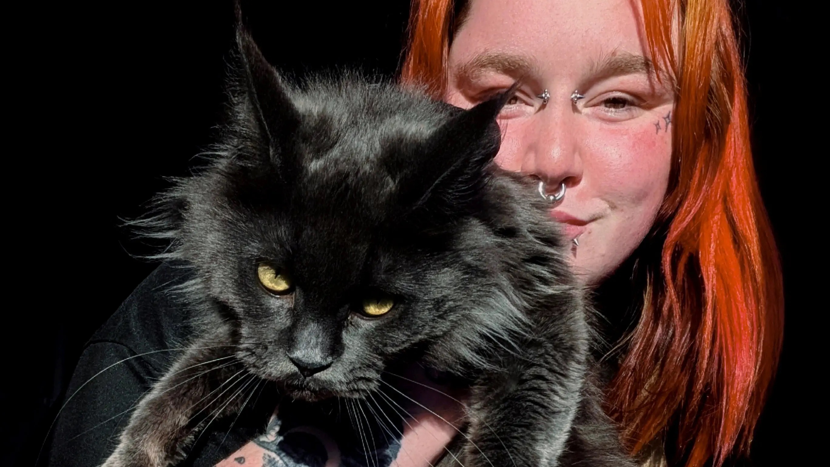 Woman uses human urine in desperate bid to find missing cat