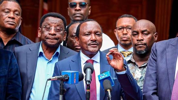 Kalonzo Loosens Grip As Ukombozi Alliance Rewrites Rules To Woo Opposition Allies Wary Of His Ticket