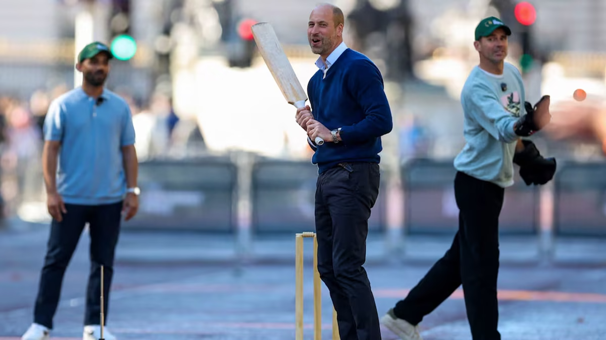 Prince William stops traffic outside Buckingham Palace for a game of cricket