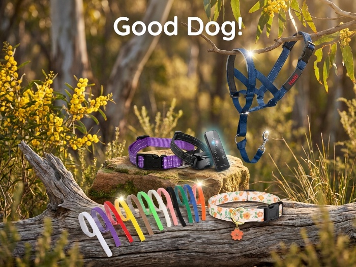Calm, Confident Canines: Training & Behavior Aids That Work