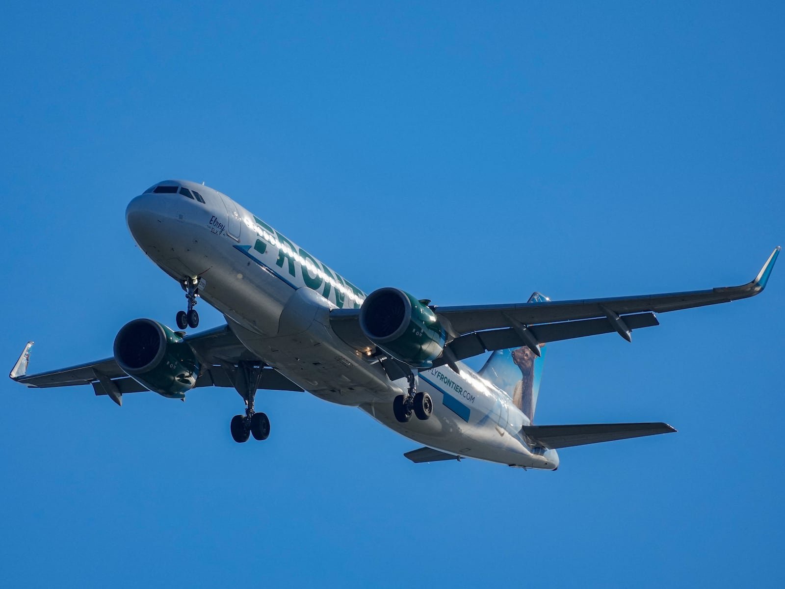 Frontier Airlines Flight Attendant Wrestles Passenger After She Tries to Open Exit Door
