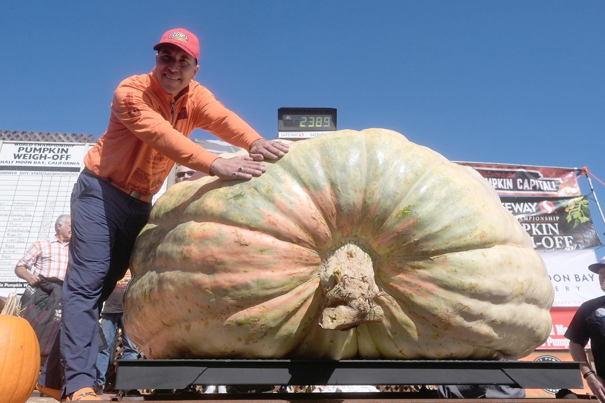 Halloween goes to the extreme as Super Bowl of pumpkin growers hits California beach town – see the giant that won