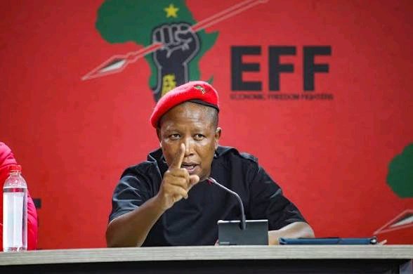 Julius Malema Takes Aim At ANC Over Poor Roads In Mpumalanga