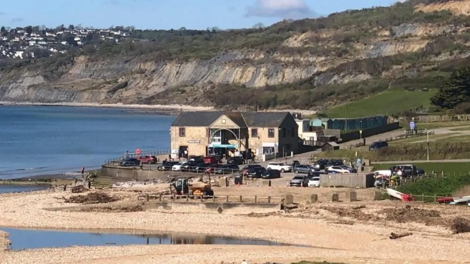Jurassic Coast fossil records made available online