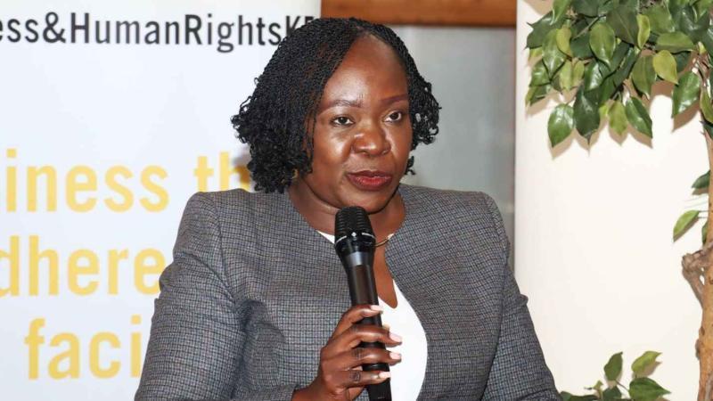 KNCHR Raises Alarm as 40,000 Ethiopian Refugees Flee to Moyale