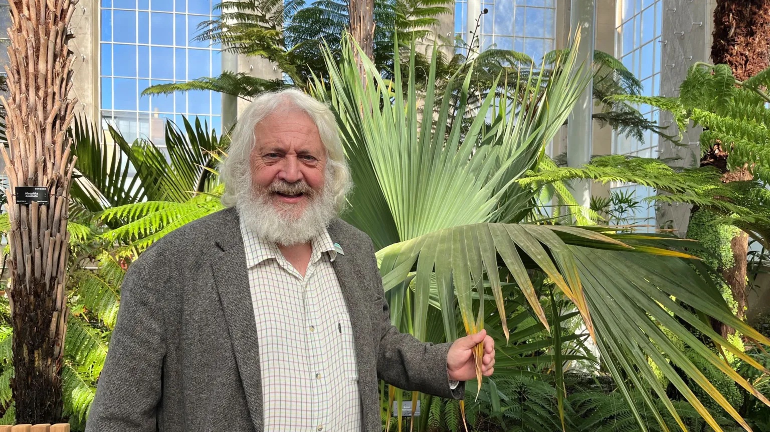 Six years, hundreds of plants and one tree casualty – Edinburgh’s Palm House returns