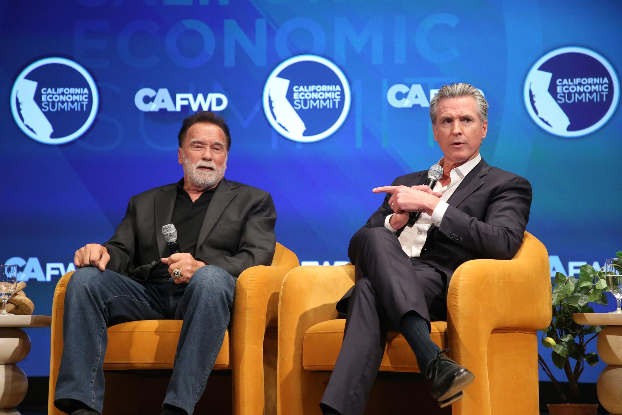 Gavin Newsom and Arnold Schwarzenegger congratulate each other for California’s hated environmental regulations