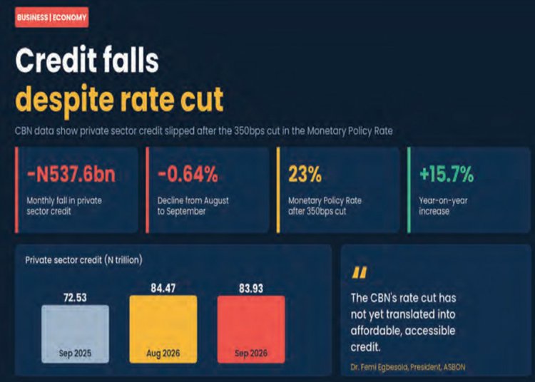 MSMEs, Analysts Say CBN Rate Cut Yet To Ease Credit As Private Lending Falls By N537.6bn