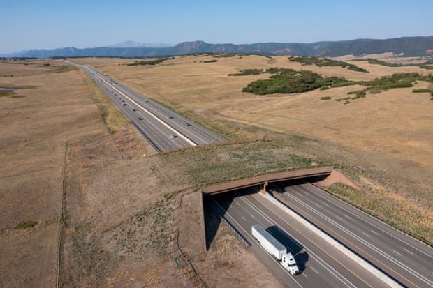 Colorado wildlife overpass cut vehicle-animal collisions by 91%, report finds