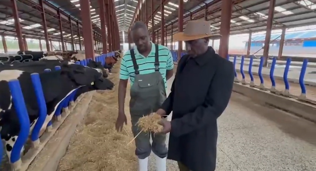 Ruto Spotted Lecturing His Manager After Visiting Koilel Dairy Farm – Video