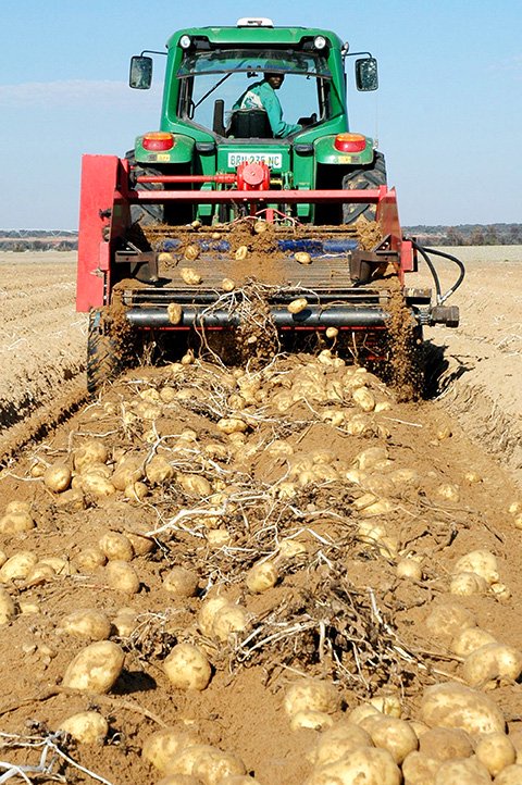 Mathews Phosa | Engineering inclusion: The missing link in agricultural growth