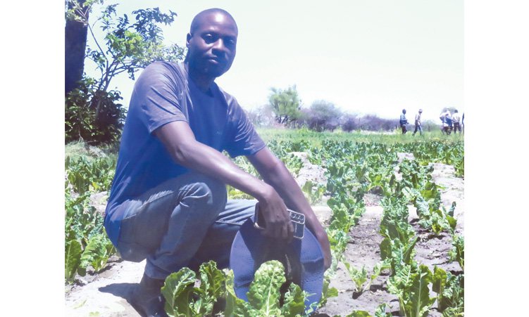 Young Oshana farmers struggle to sell produce