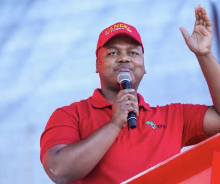 EFF Turns Up Pressure On SETA Leadership After MICT CEO Resignation Letter