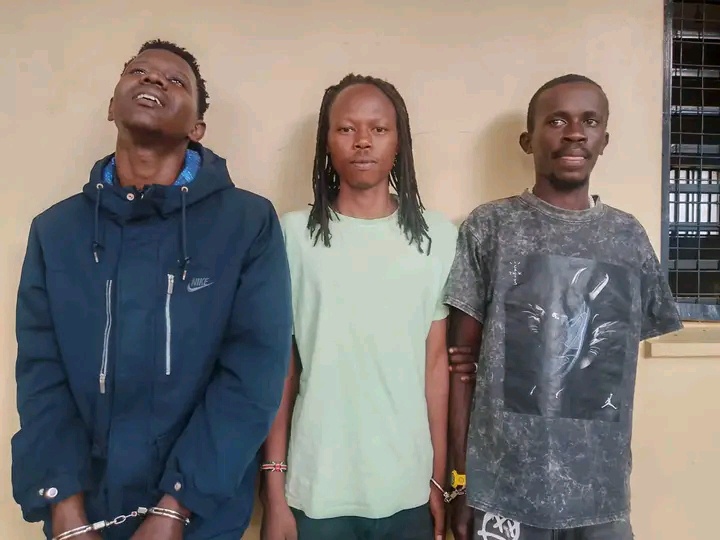 DCI Arrests Five Suspects In Multi-County Operation, Seizes 582kg Of Cannabis