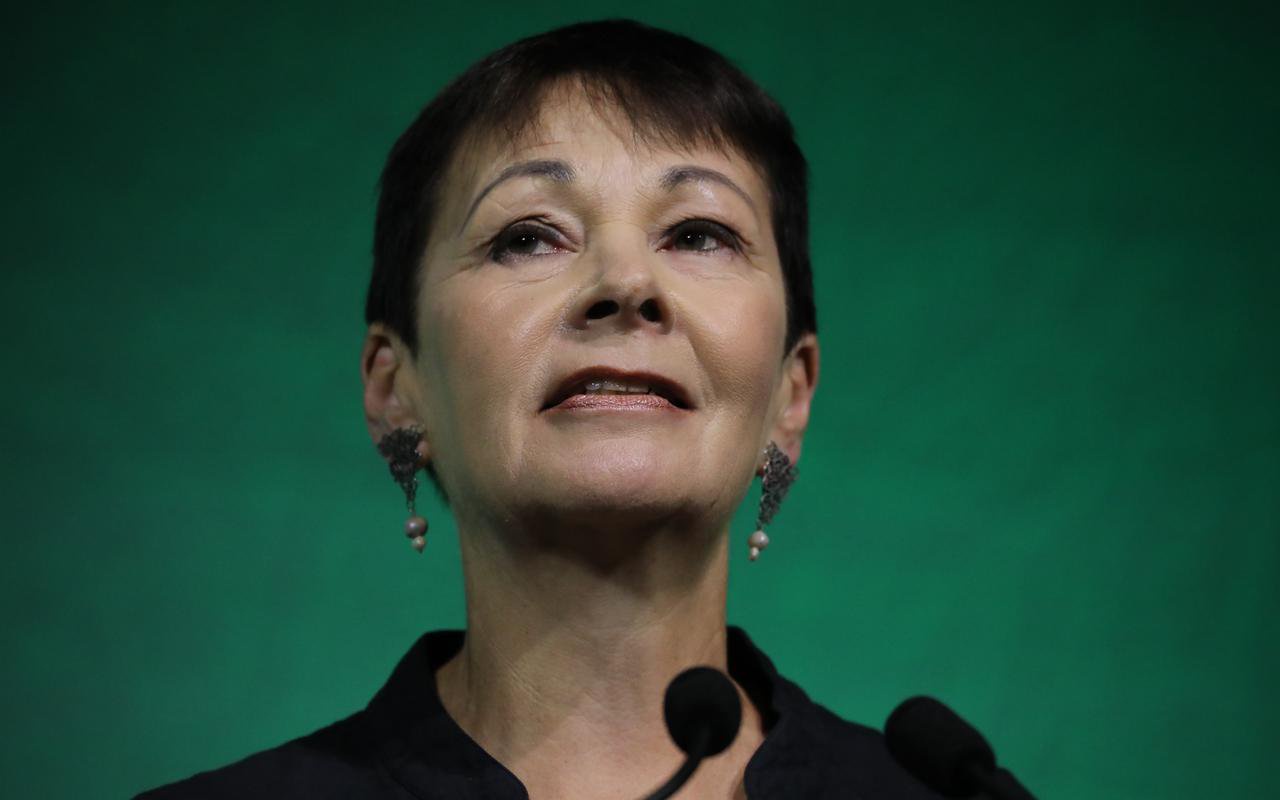 Green Party activists plotting to oust Caroline Lucas amid fallout over ‘Zionism is racism’ vote