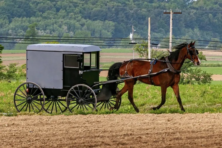 Canton residents want safety changes after deadly Amish buggy crash