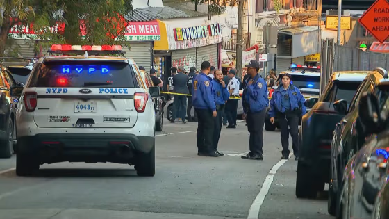 Person shot by ICE officers in New York City