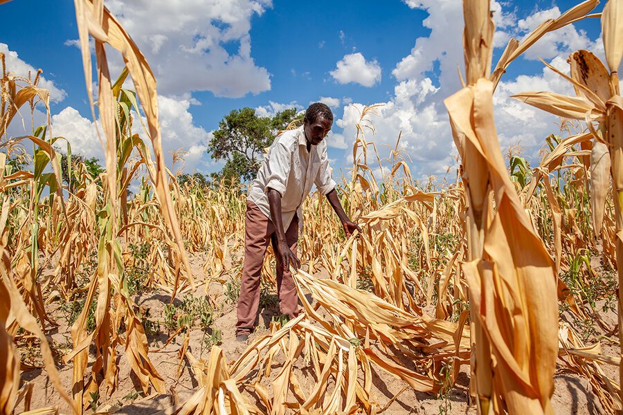 Govt mobilises against impending El Niño