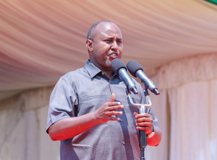 Junet Mohamed Questions Ruto for Inviting ODM Leaders to Government Before Making His Own Plans